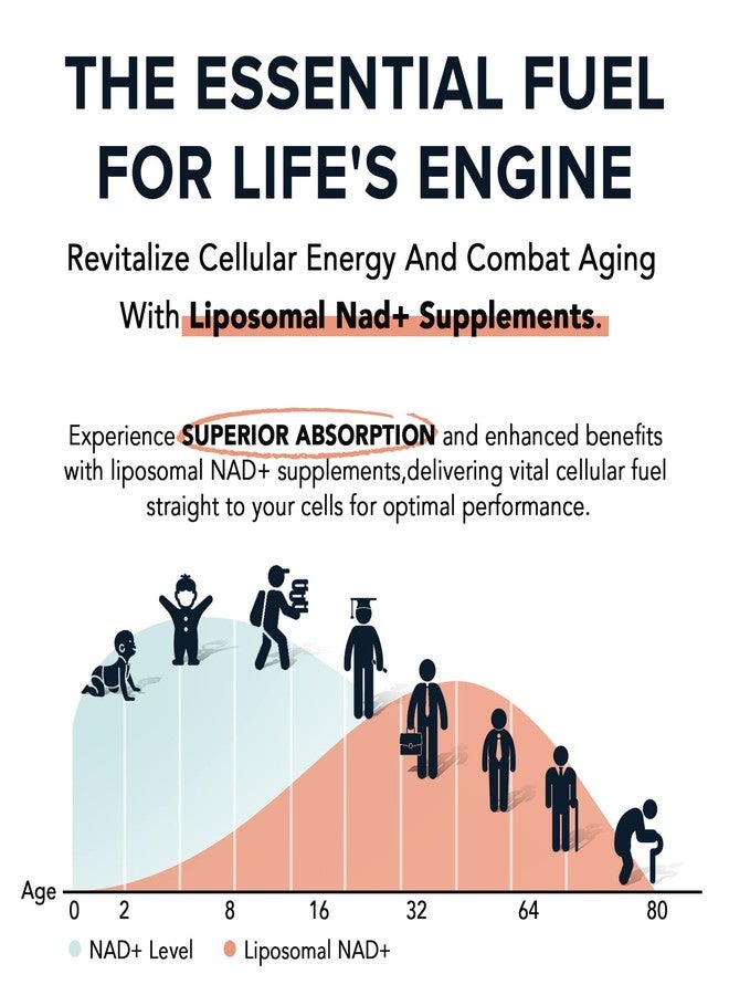 Fabamax 1600 mg Liposomal NAD Supplement, 98% Pure NAD+ Supplement, Superior Absorption, Alternative to Nicotinamide Riboside or NADH to Boost NAD+ for Aging Defense, Energy, Longevity,60 Softgels - Image 3